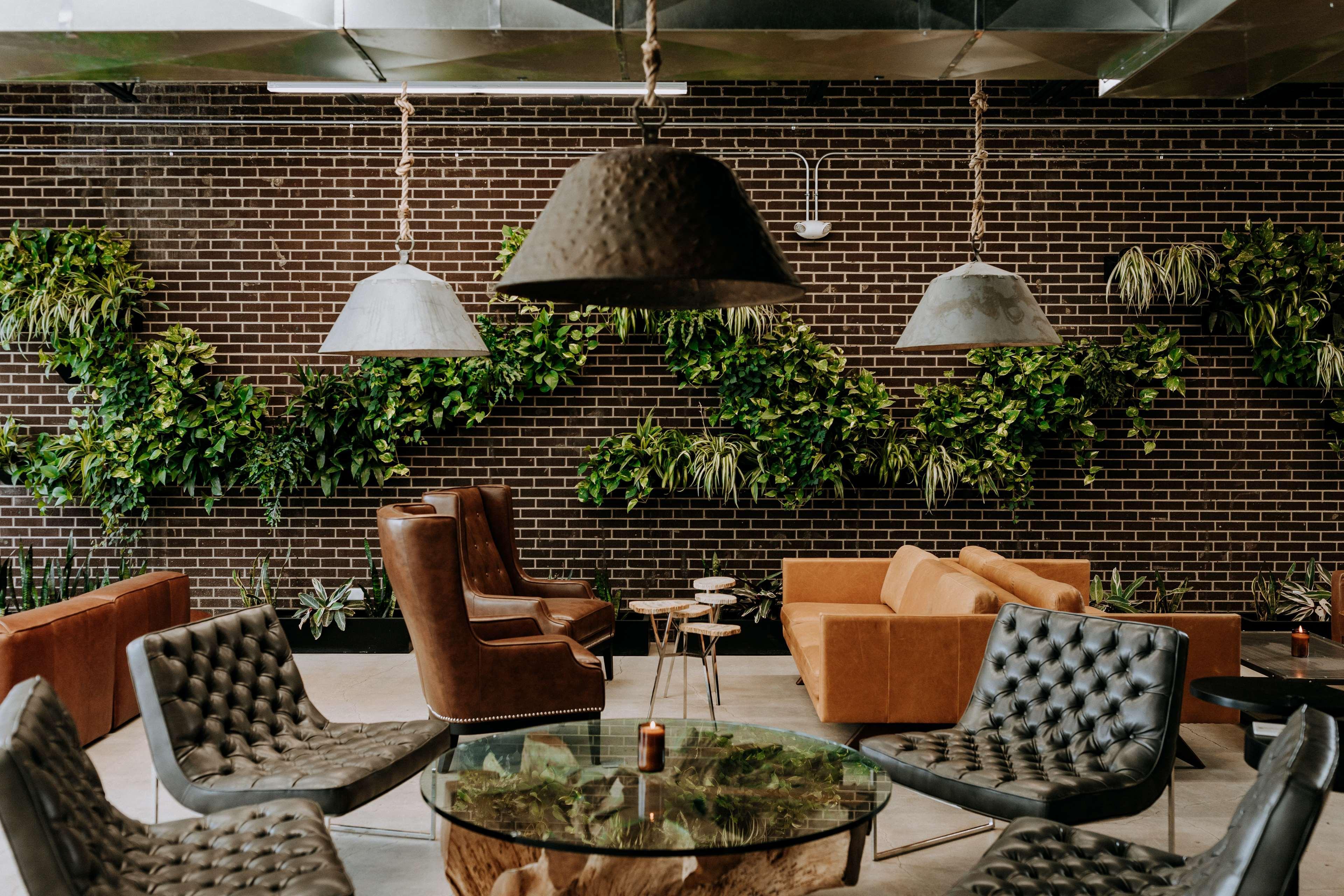 Scp Colorado Springs Hotel מראה חיצוני תמונה